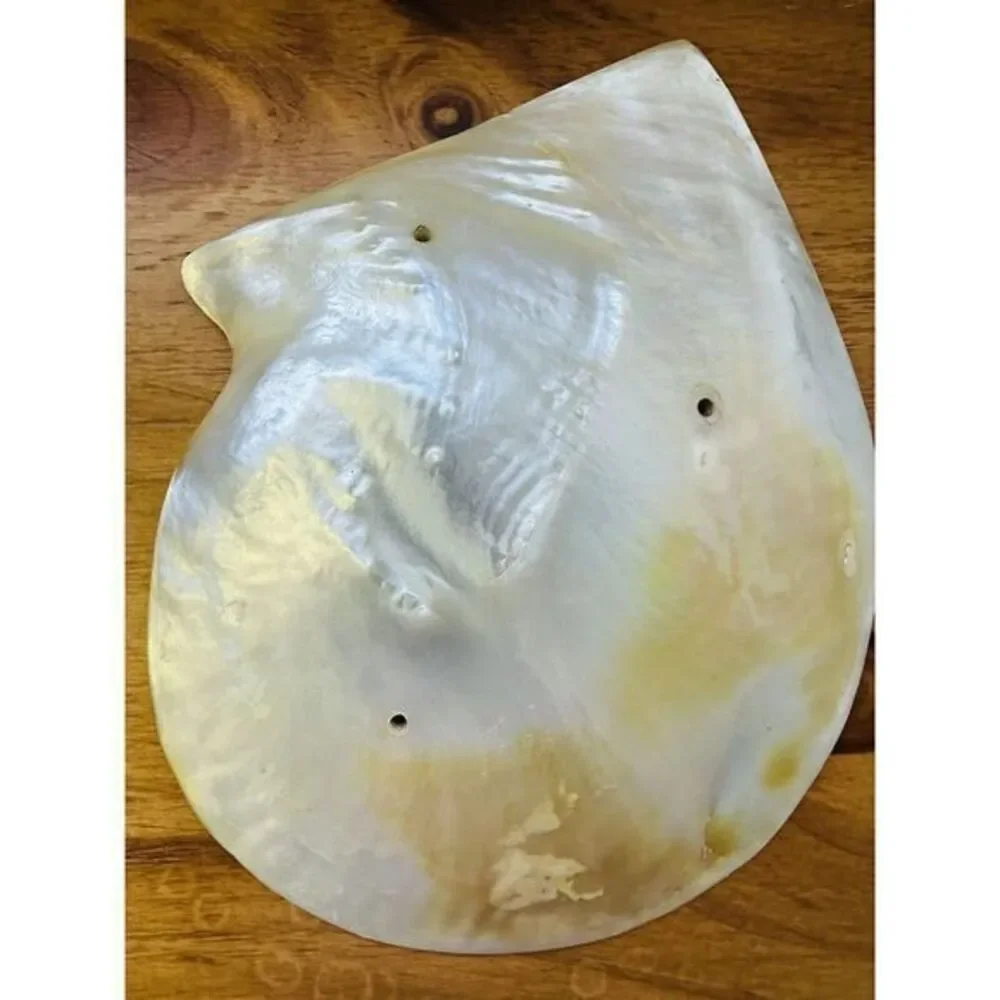 Vintage Large Genuine‎ Mother Of Pearl Sea Shell Caviar Dish Trinket Tray Plate